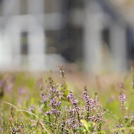 2609-romo-praestekraven-16 Vakantiehuis Molby